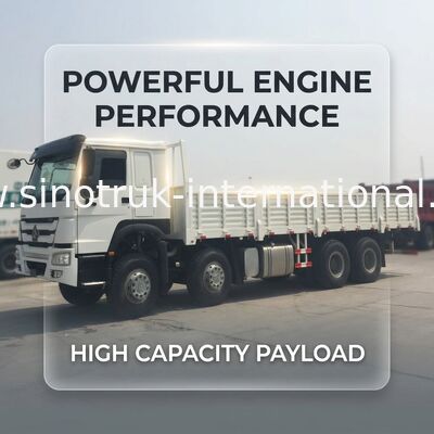 SINOTRUK βαρέων καθηκόντων φορτηγό 9280 φορτίου φορτηγών * εμπορικά φορτηγό και φορτηγό 2300 * 800mm