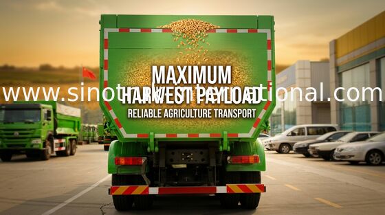 20 cbm SINOTRUK HOWO Tipper φορτηγό απορρίψεων με το σώμα φορτίου 5800 * 2300 * 1500mm