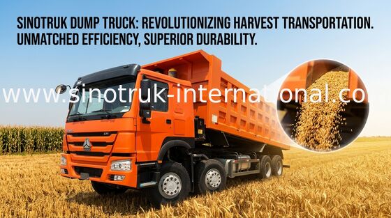 Φορτηγό απορρίψεων SINOTRUK HOWO 371HP 12 ρόδες LHD 31tons 20-30CBM ZZ3317N3867W