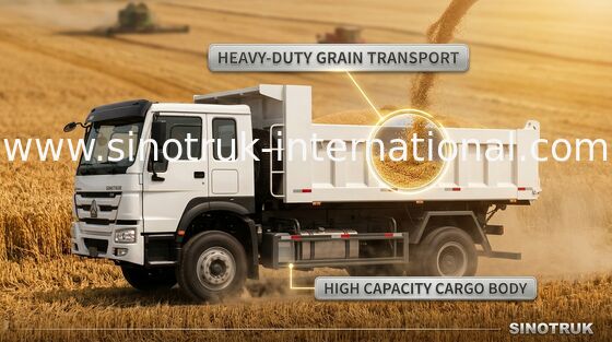 Χρυσό Tipper πριγκήπων SINOTRUK φορτηγό απορρίψεων 290HP 4X2 LHD 16tons 9-13CBM ZZ3161M3811C1