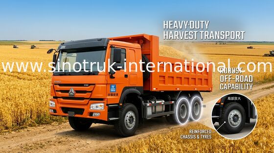 371HP 10 ικανότητα φορτηγών απορρίψεων πολυασχόλων 30 - 40 Τ 75 μικρή κατανάλωση καυσίμων Km/H