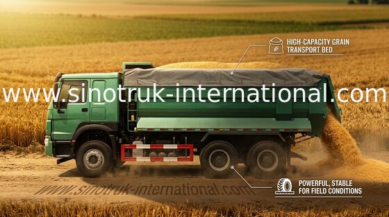 Tipper δημόσιων έργων φορτηγό απορρίψεων/Tipper HOWO φορτηγό 6X4 LHD 25 τόνοι 10 - 25 CBM