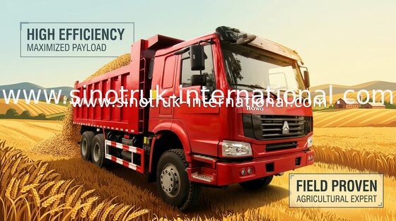 Βαρέων καθηκόντων SINOTRUK HOWO φορτηγό απορρίψεων LHD 6X4 με την κάλυψη μουσαμάδων/την κάλυψη μετάλλων