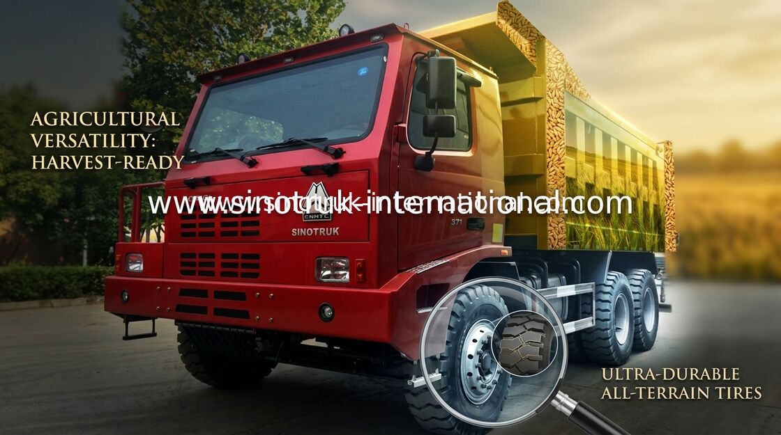Χρωματισμένο φορτηγό απορρίψεων SINOTRUK HOWO 6x4/Tipper HOWO φορτηγό για τη μεταλλεία