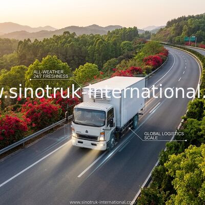 SINOTRUK HOWO 10 κατεψυγμένο τόνος φορτηγό 160HP RHD