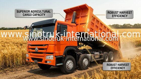 Tipper φορτηγό SINOTRUK HOWO 371HP 12 ρόδες LHD 31 τόνοι 20-30CBM ZZ3317N3567W